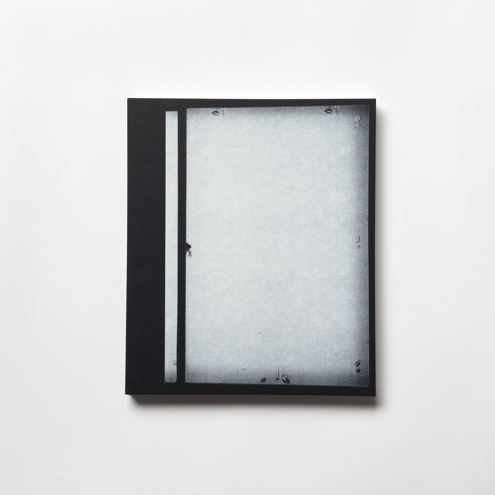 IMG_4966.jpg?v=1726034345