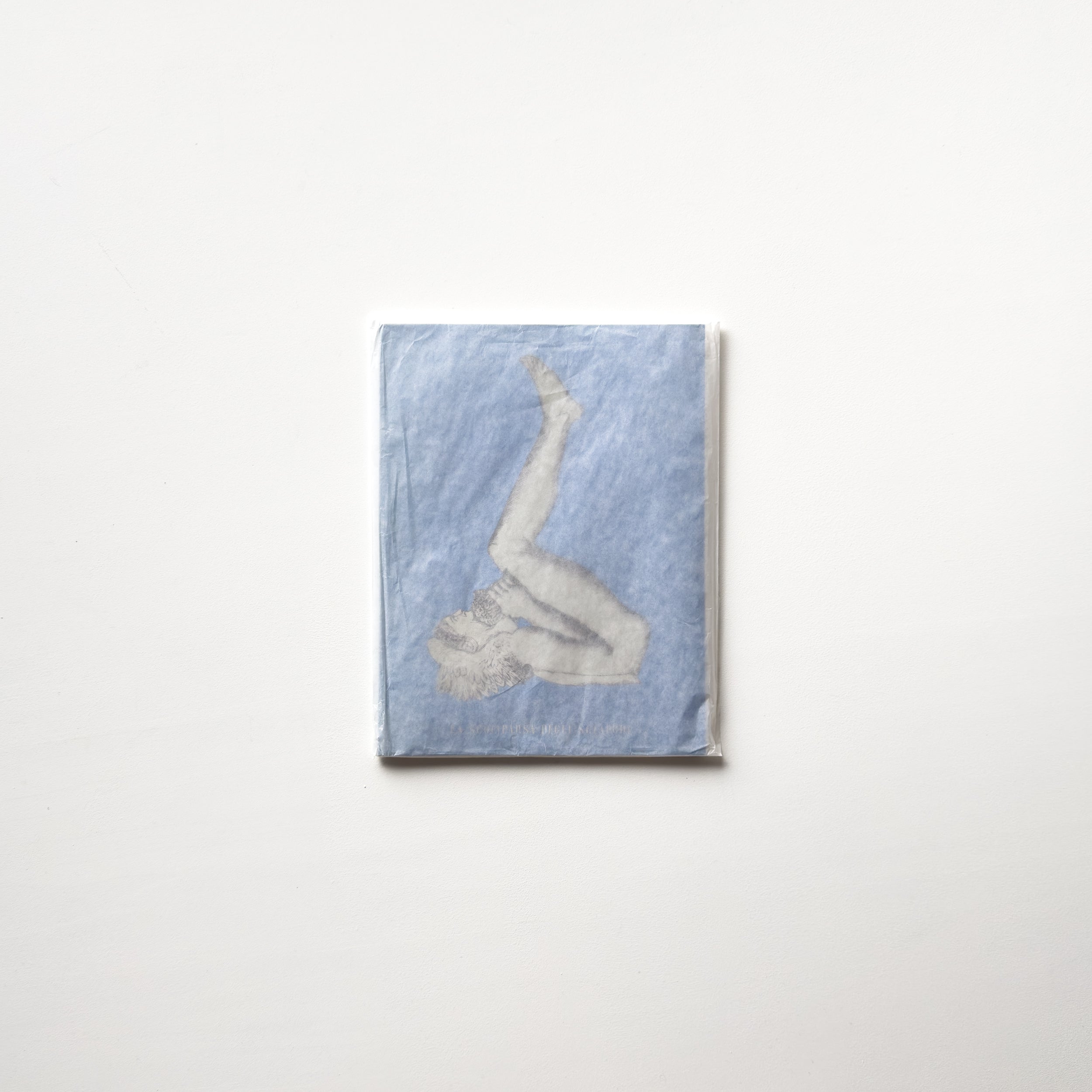 La scomparsa degli sciapodi by Mark Manders – IACK