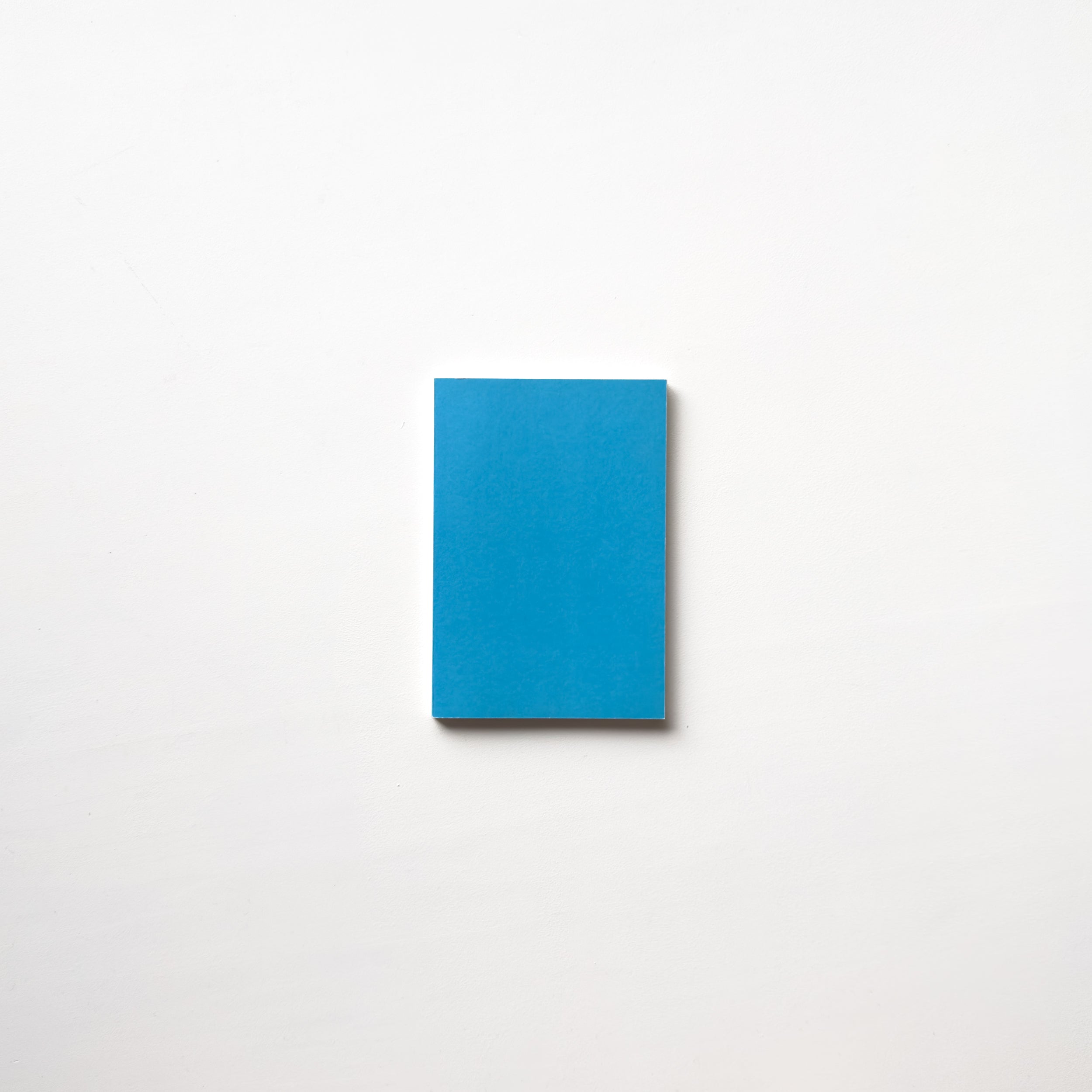 Coloured Room with Black and White Scene by Mark Manders | IACK
