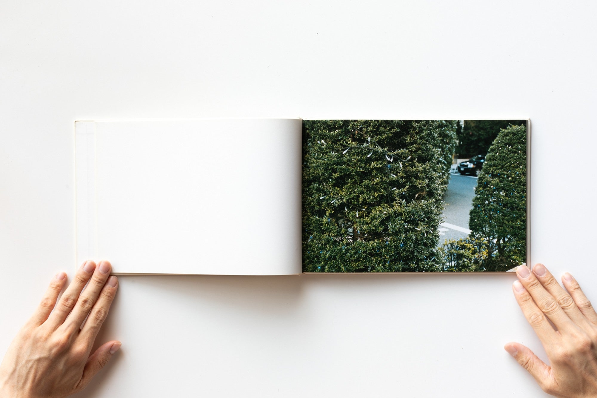 2886a16804f0fb6611ef0ddd9b66cd