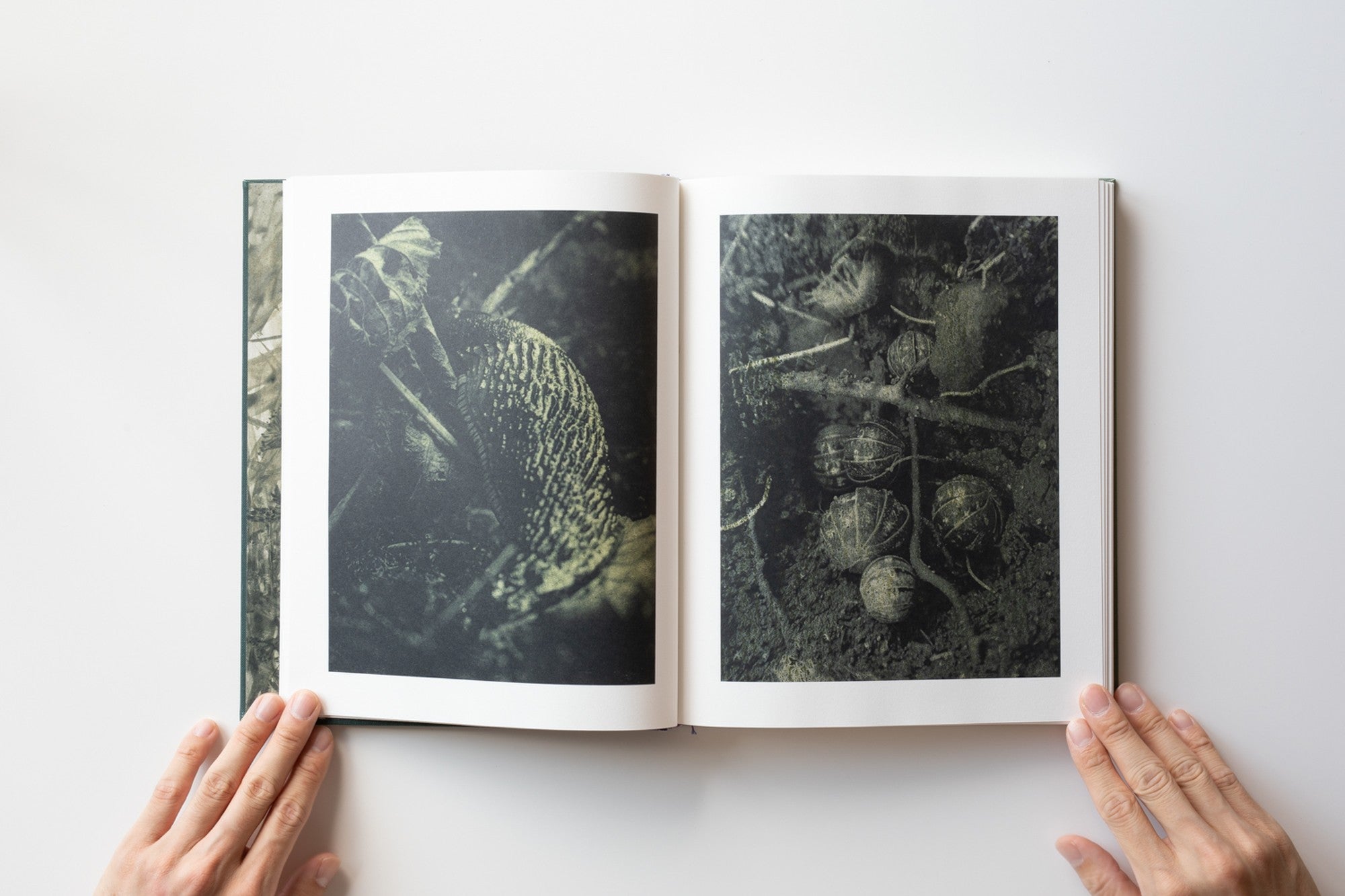 Signed) Night Procession by Stephen Gill – IACK