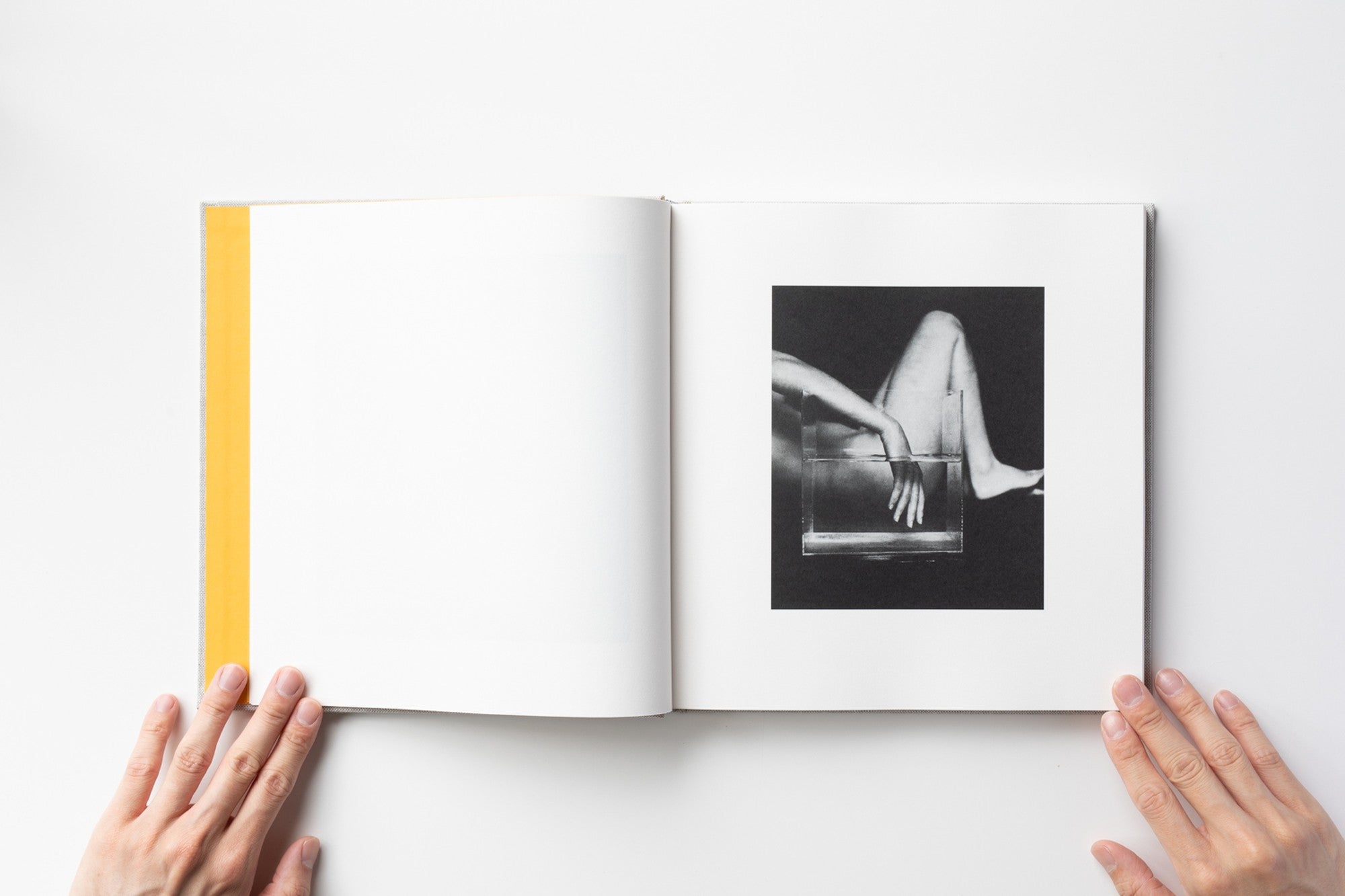 未使用近❗️【Z by Jack Daylor】アート写真/ジャック・デイヴィソン 未使用近❗️【Z by Jack Daylor】アート写真/ジャック