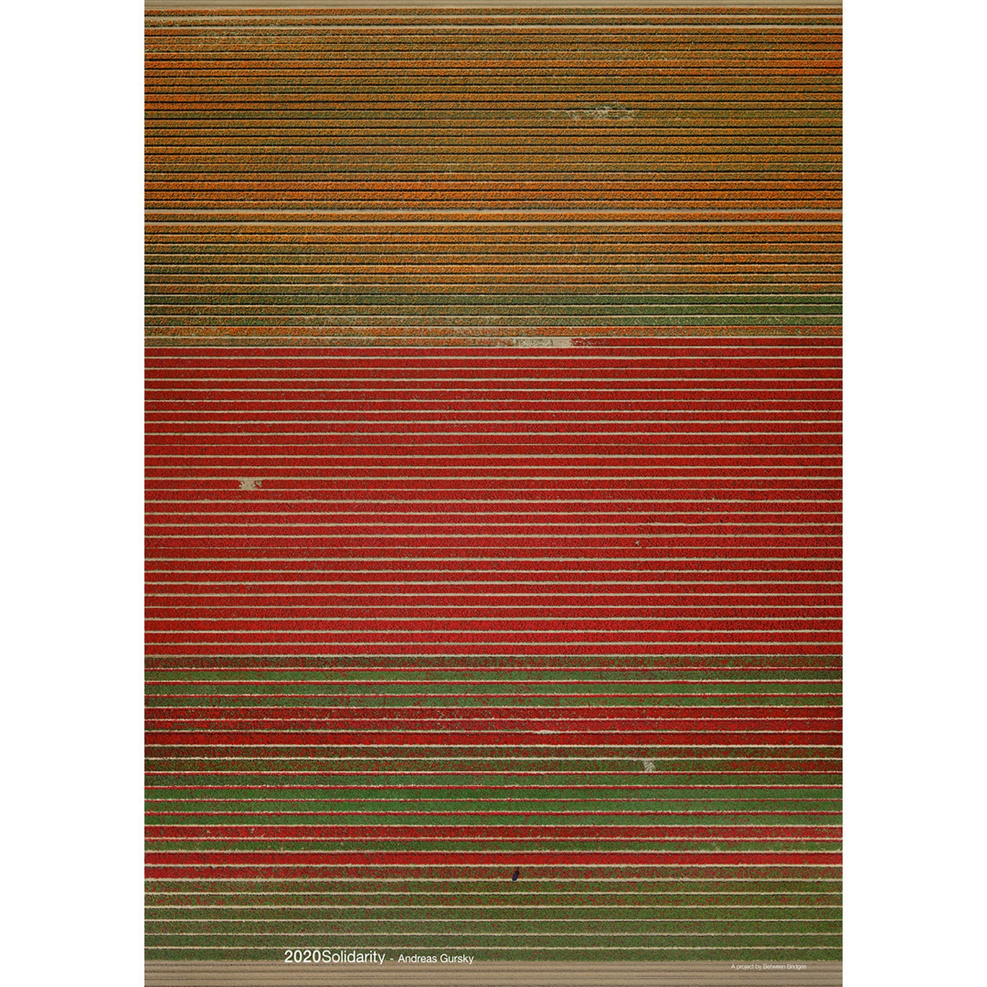2020Solidarity Poster: Andreas Gursky – IACK