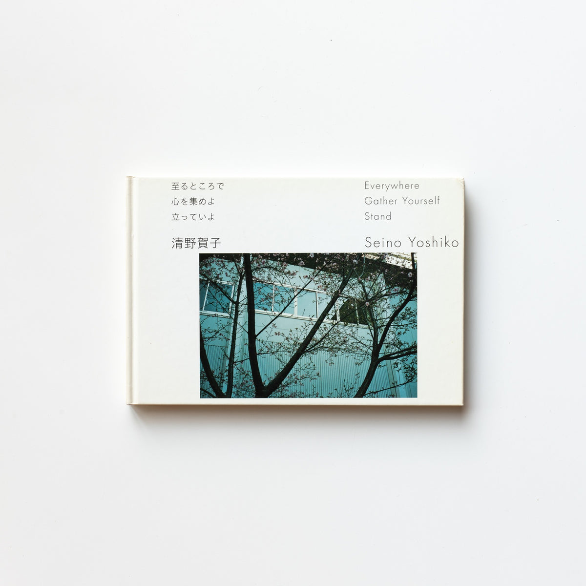 80013fe51578ef9eb2bf132fd5b1ff