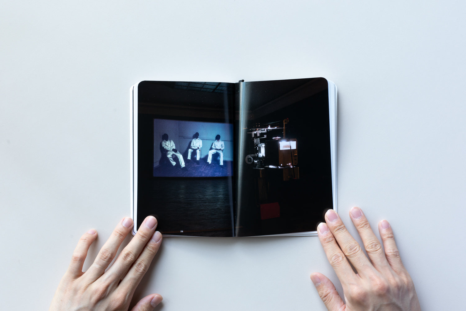 First edition, first printing) The Duck by Michaël Borremans