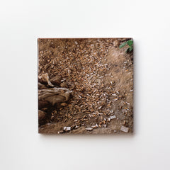 Landscapes for the Homeless by Anthony Hernandez