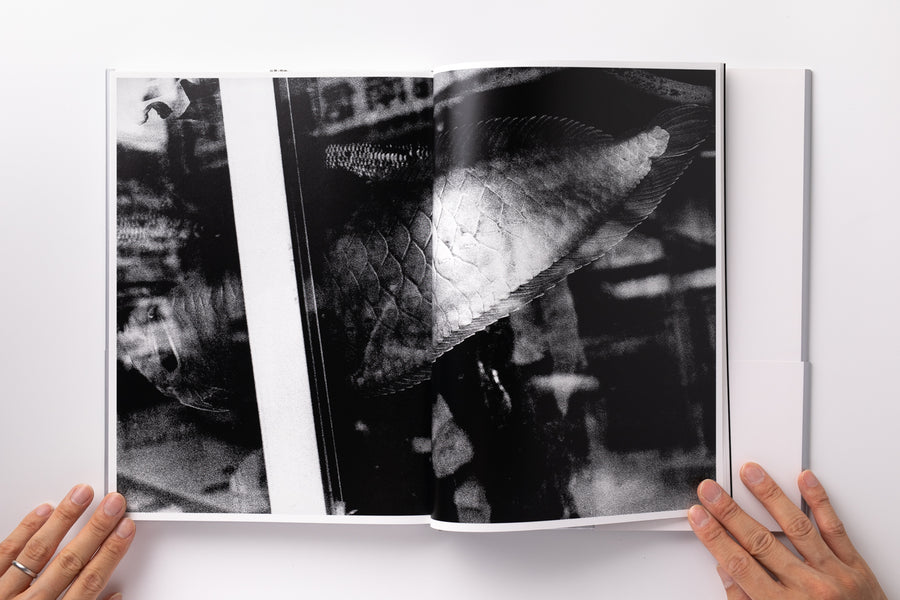 <tc>Daido Moriyama Photo Collection (4): Light and Shadow</tc>