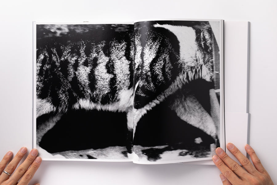 <tc>Daido Moriyama Photo Collection (4): Light and Shadow</tc>