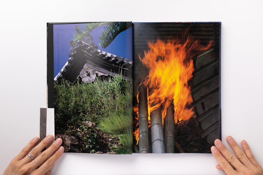 Mint) Documentary by 中平卓馬 – IACK