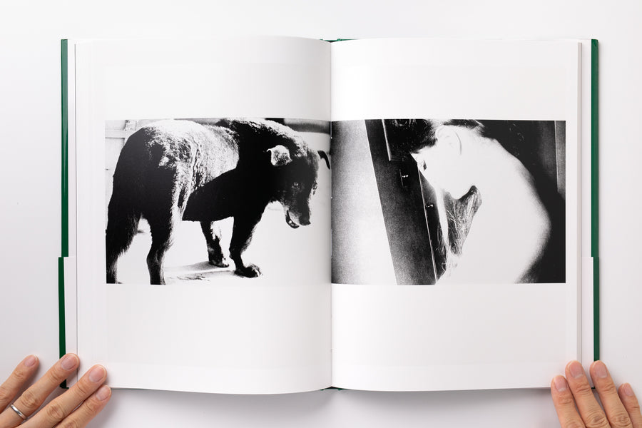 <tc>Daido Moriyama Photo Collection (2): Hunter</tc>