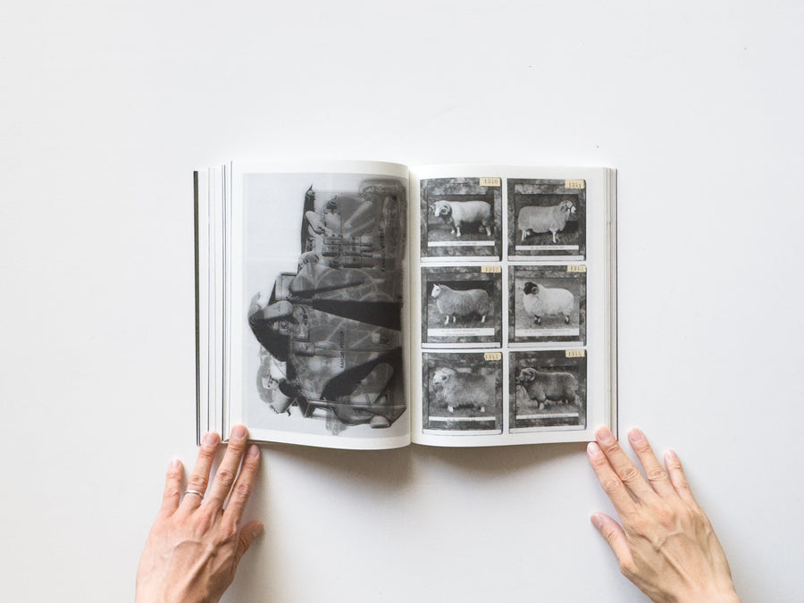 <tc>La Nonpareille by Batia Suter</tc>