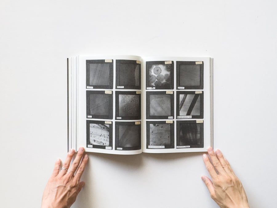 <tc>La Nonpareille by Batia Suter</tc>