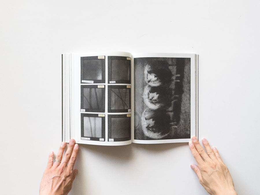 <tc>La Nonpareille by Batia Suter</tc>