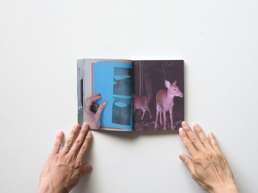 As Far as You Can See by Erik Kessels