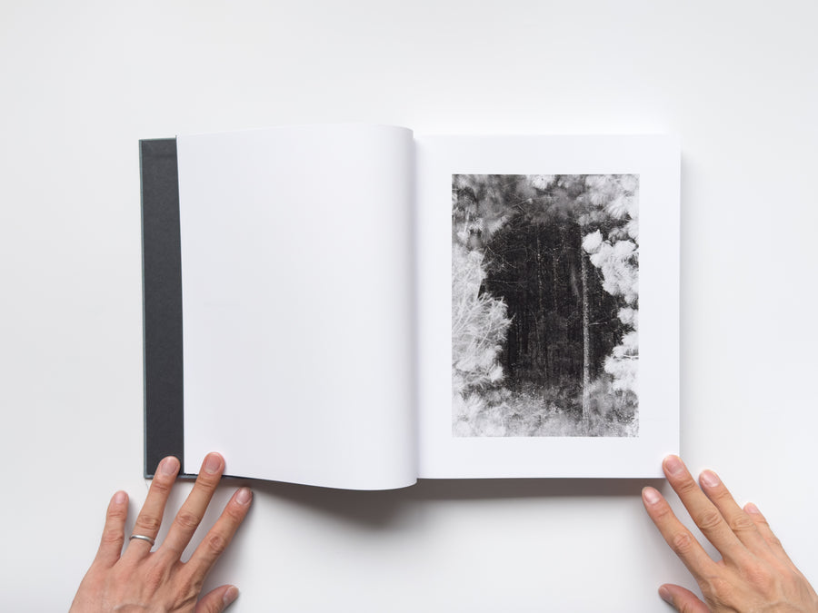 <tc>Distribution by Daniel Shea</tc>