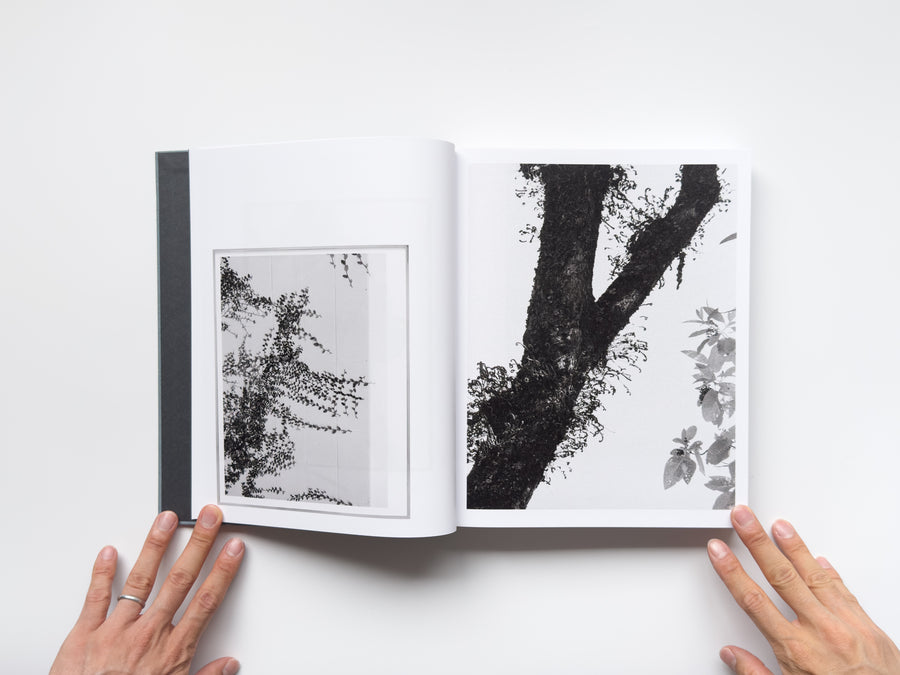 <tc>Distribution by Daniel Shea</tc>