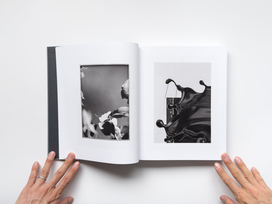 <tc>Distribution by Daniel Shea</tc>