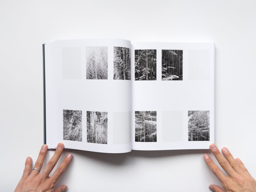 <tc>Distribution by Daniel Shea</tc>