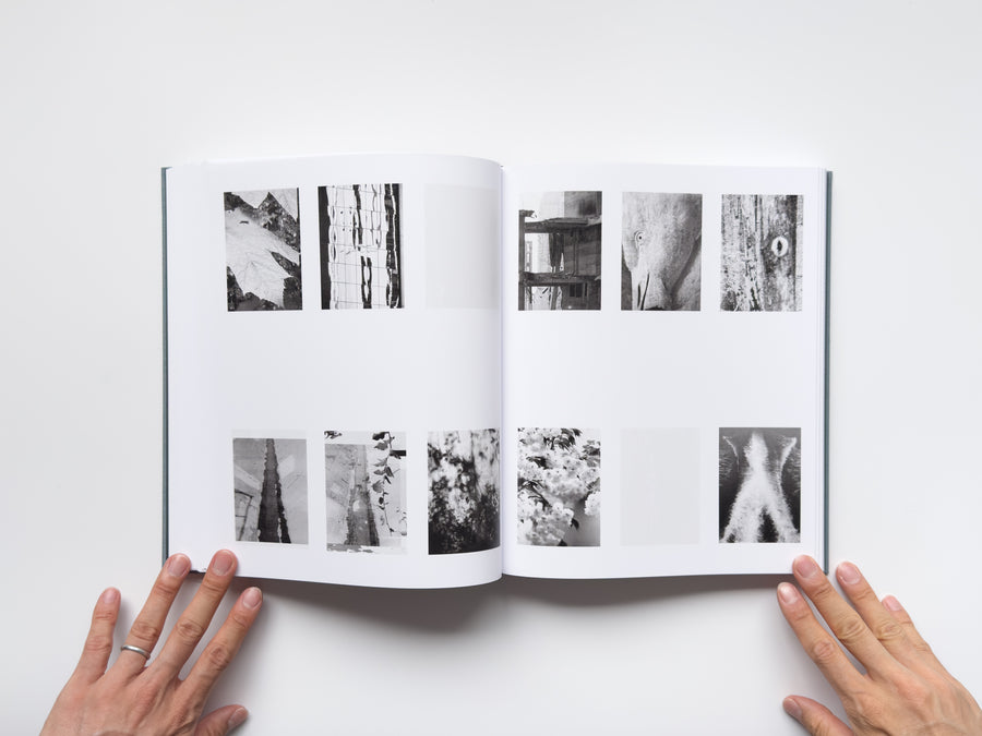 <tc>Distribution by Daniel Shea</tc>