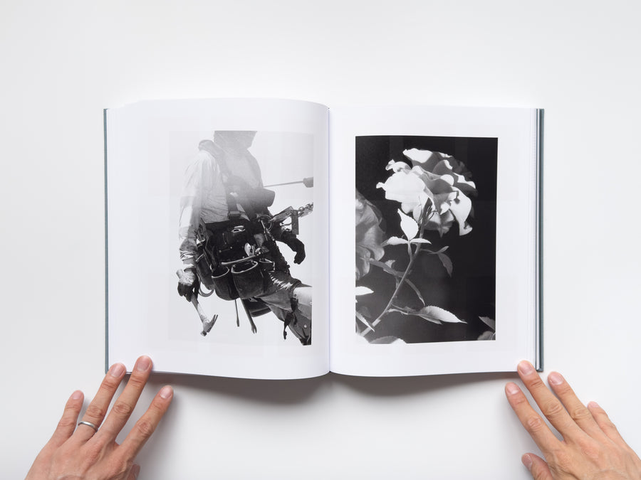 <tc>Distribution by Daniel Shea</tc>