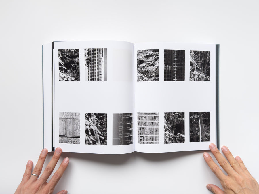 <tc>Distribution by Daniel Shea</tc>