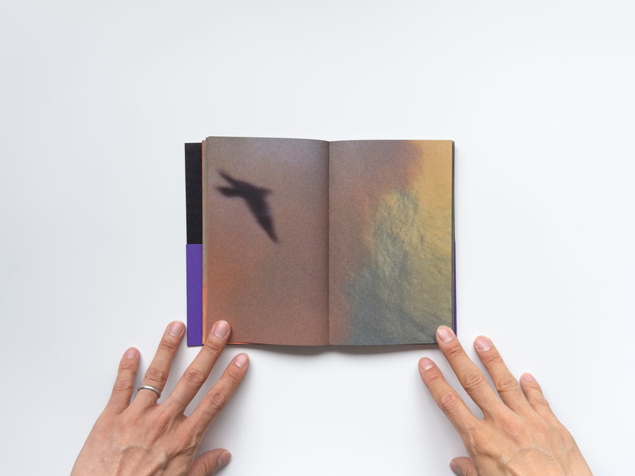 Les Oiseaux by Lola Raban and Jean-René Etienne