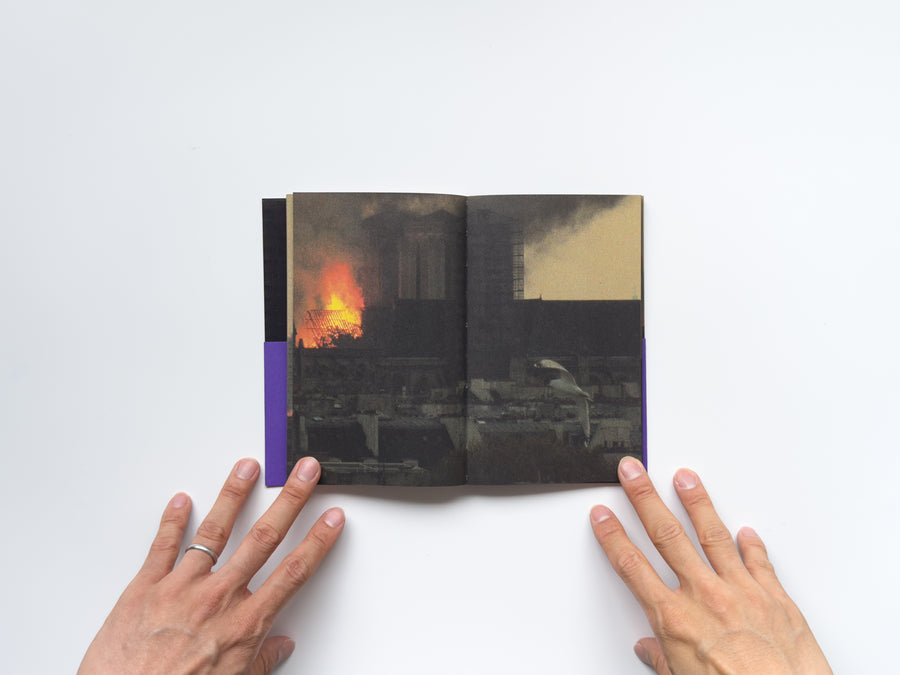 Les Oiseaux by Lola Raban and Jean-René Etienne