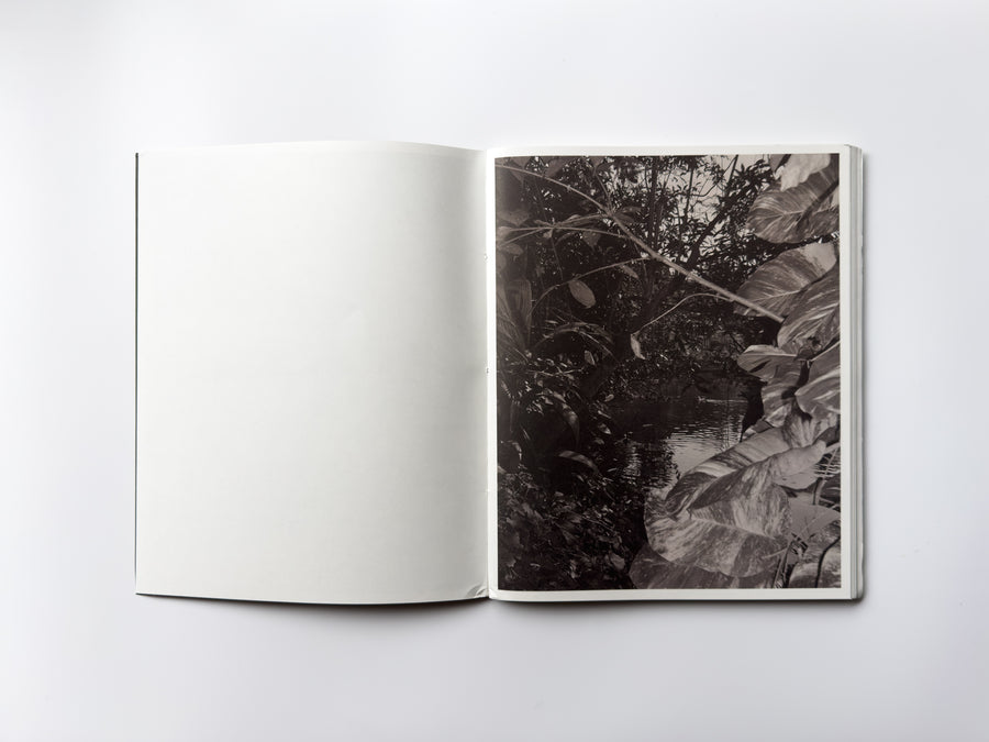 <tc>Ripples in the Pond by Bharat Sikka</tc>