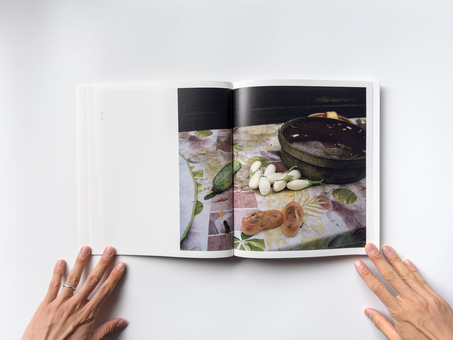 <tc>Stick Holding Branch by Wytske van Keulen</tc>