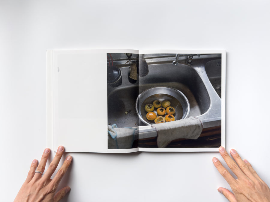 <tc>Stick Holding Branch by Wytske van Keulen</tc>