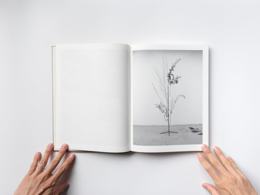 <tc>Studio Snapshots by Mark Manders</tc>