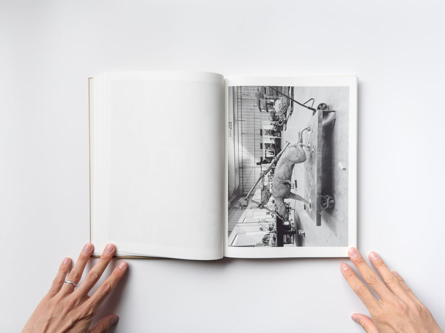 <tc>Studio Snapshots by Mark Manders</tc>