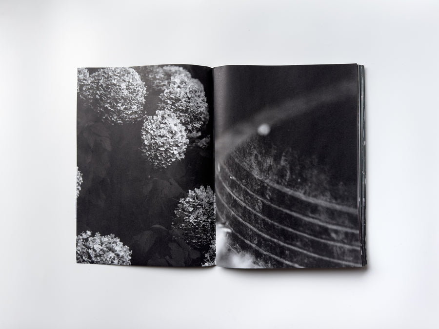 ANK, Another Kind of Need by Marijn Bax