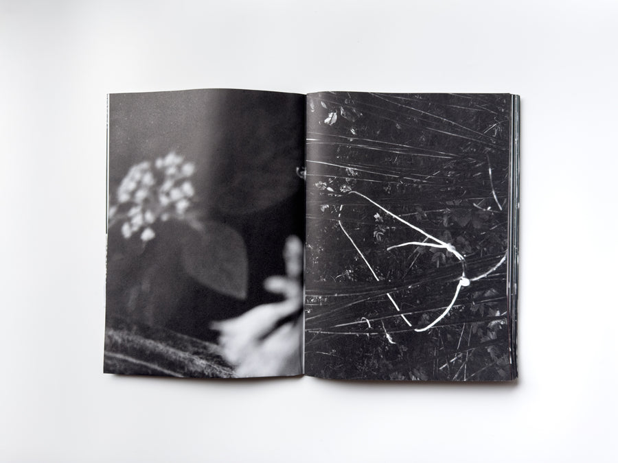 ANK, Another Kind of Need by Marijn Bax