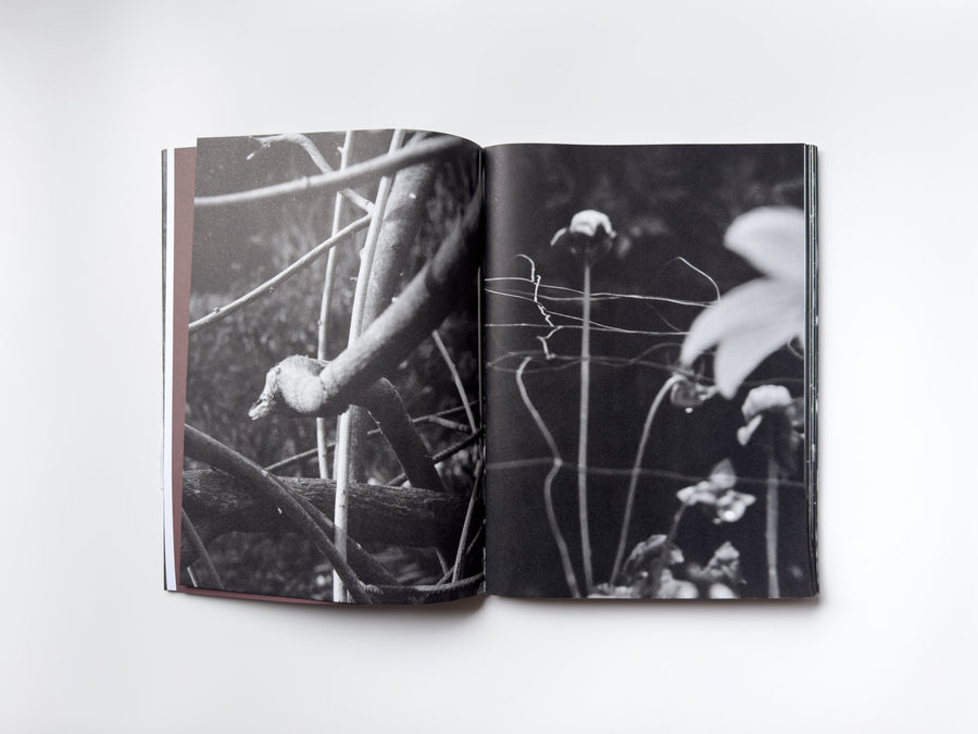 ANK, Another Kind of Need by Marijn Bax