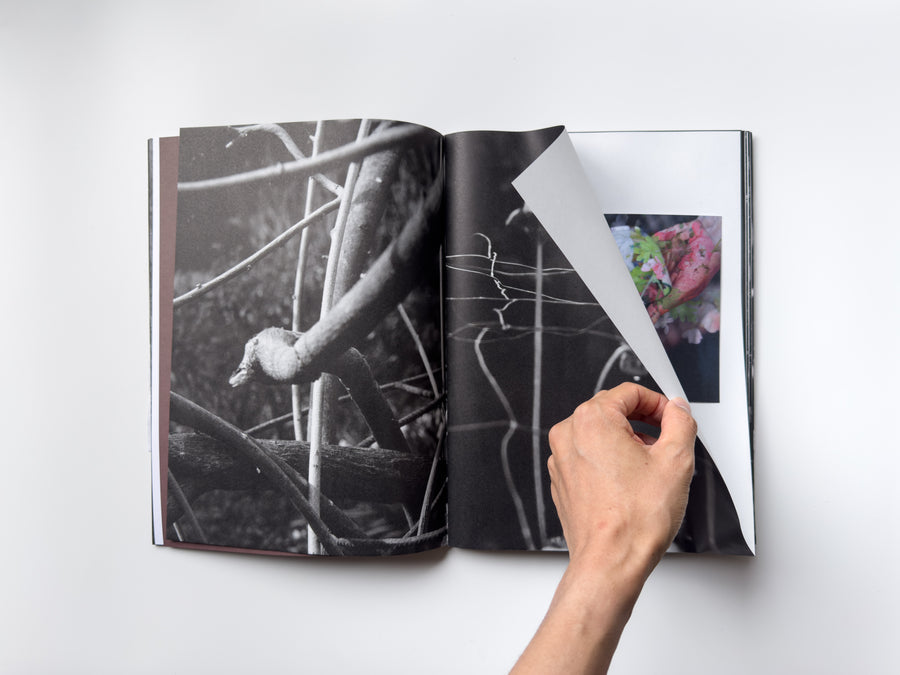 ANK, Another Kind of Need by Marijn Bax