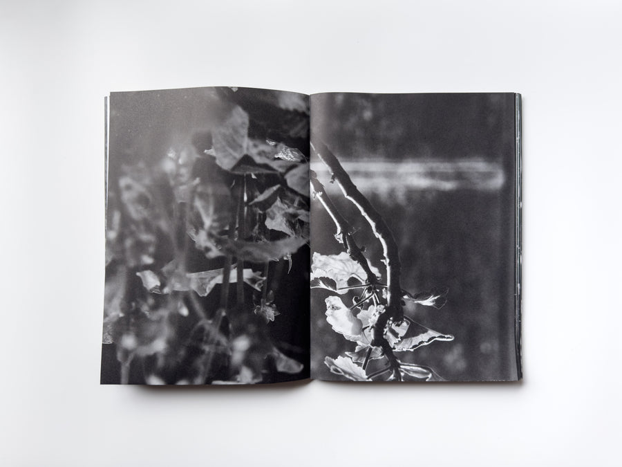 ANK, Another Kind of Need by Marijn Bax