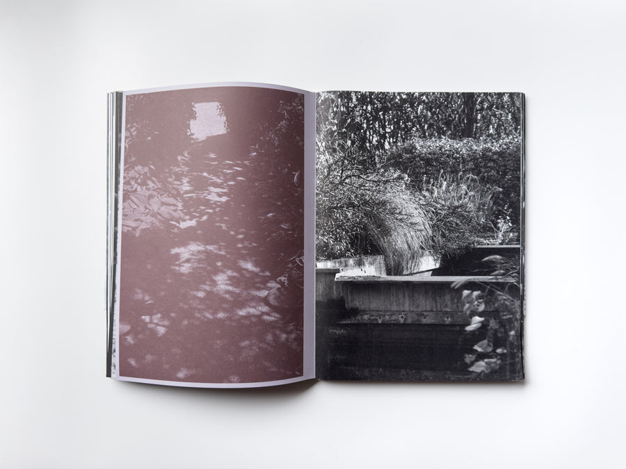 ANK, Another Kind of Need by Marijn Bax