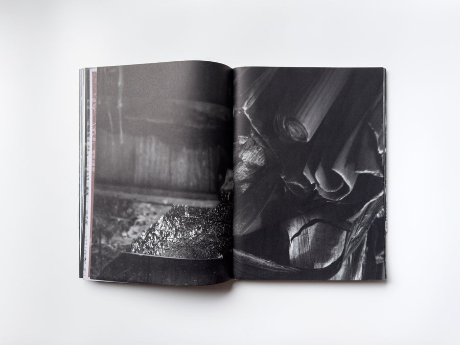 ANK, Another Kind of Need by Marijn Bax