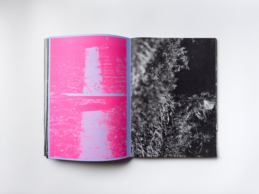 ANK, Another Kind of Need by Marijn Bax