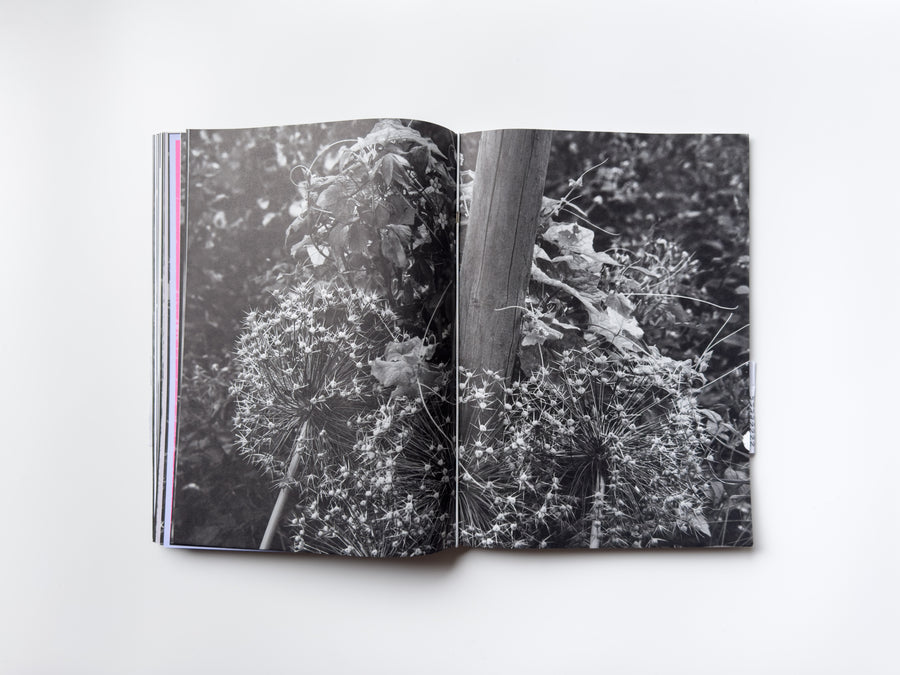 ANK, Another Kind of Need by Marijn Bax