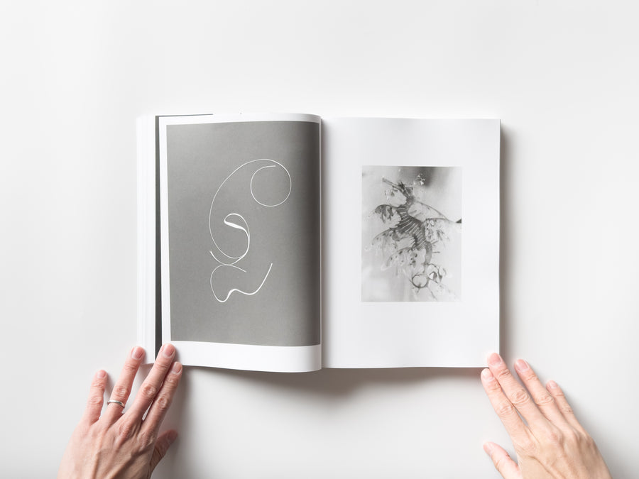 Natural Sources by Jochen Lempert