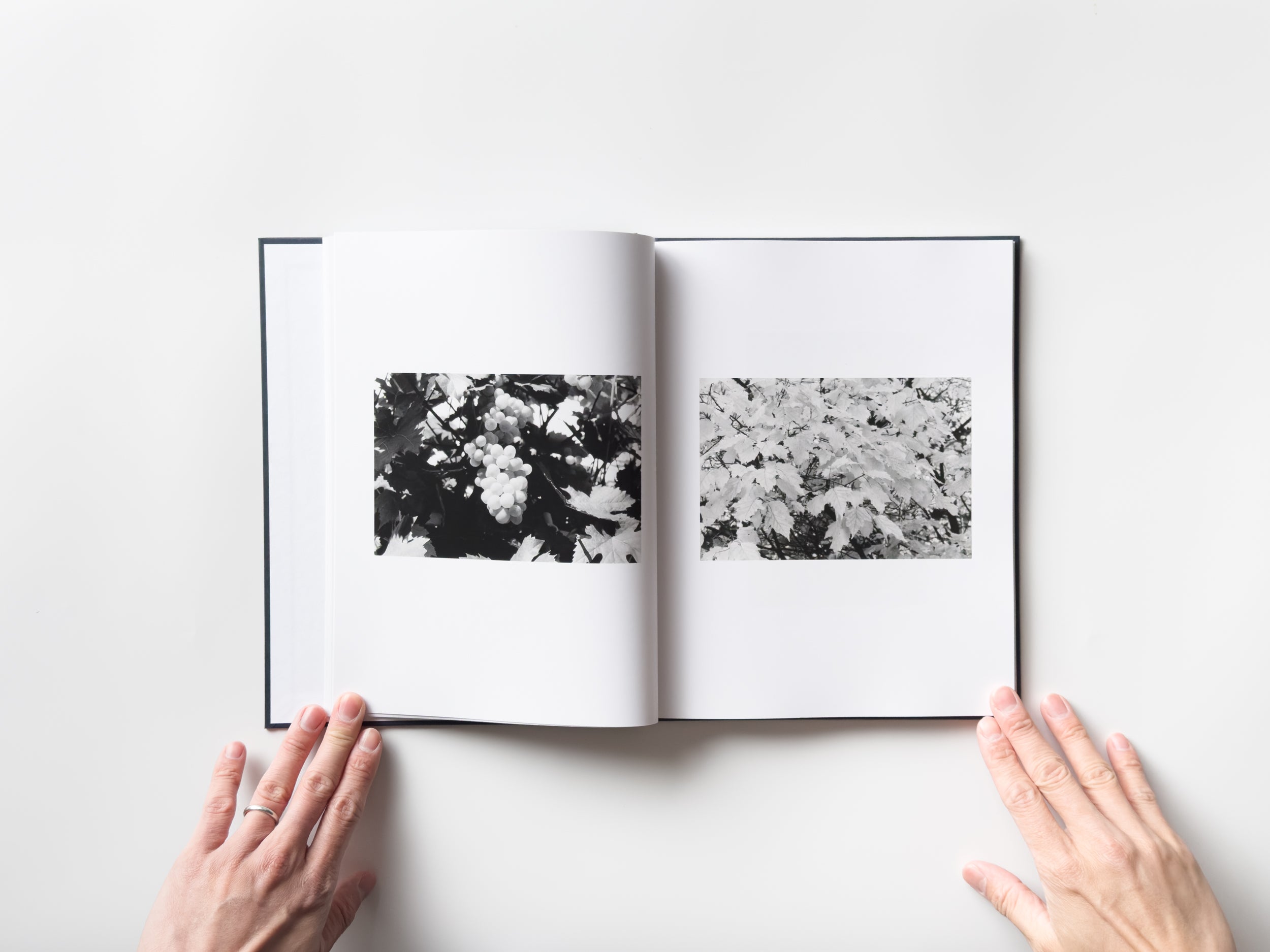 Signed) ENKÖPING by Anders Edström | IACK