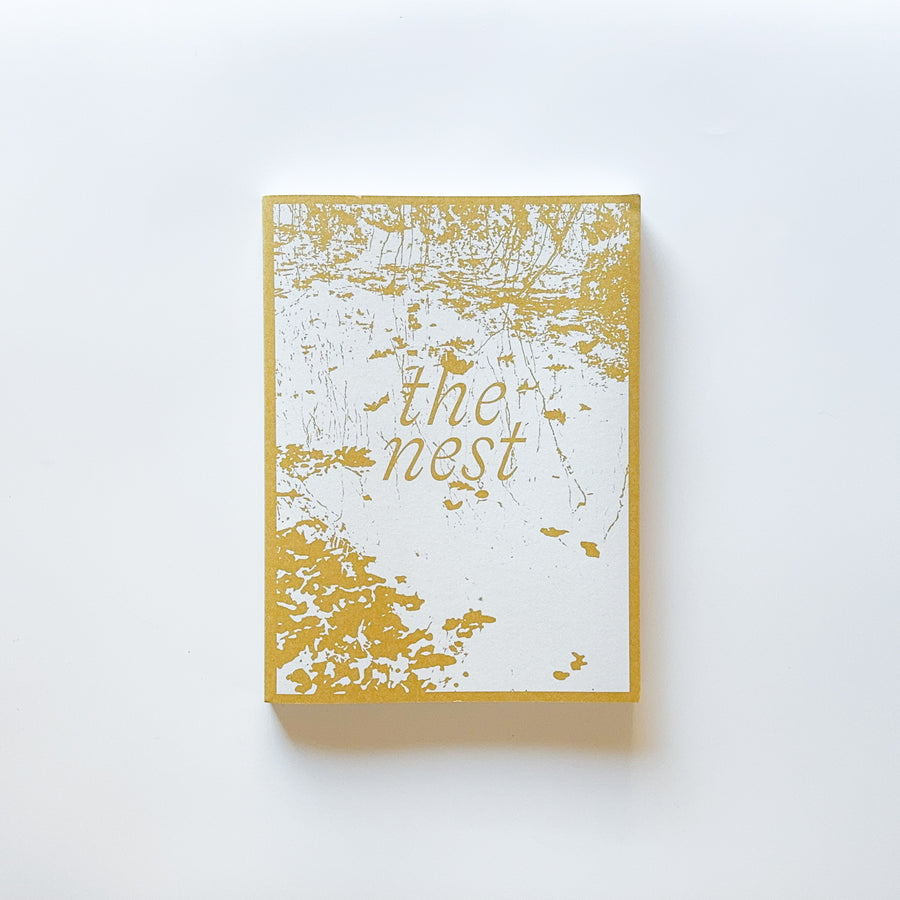 (Imperfect) The Nest by Lynn Alleva Lilley
