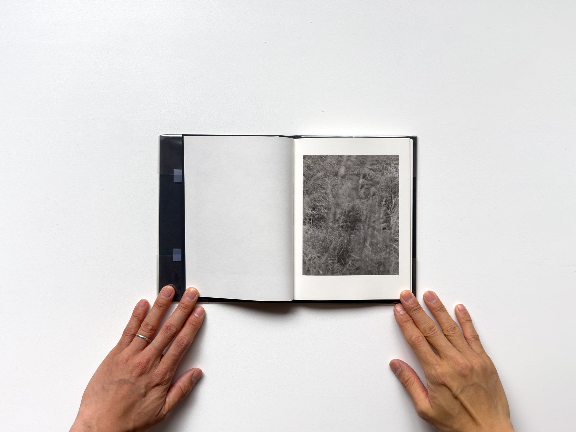 Gathering Light by Sam Laughlin – IACK