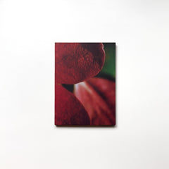 (Signed) diafragma by Signe Fuglesteg Luksengard