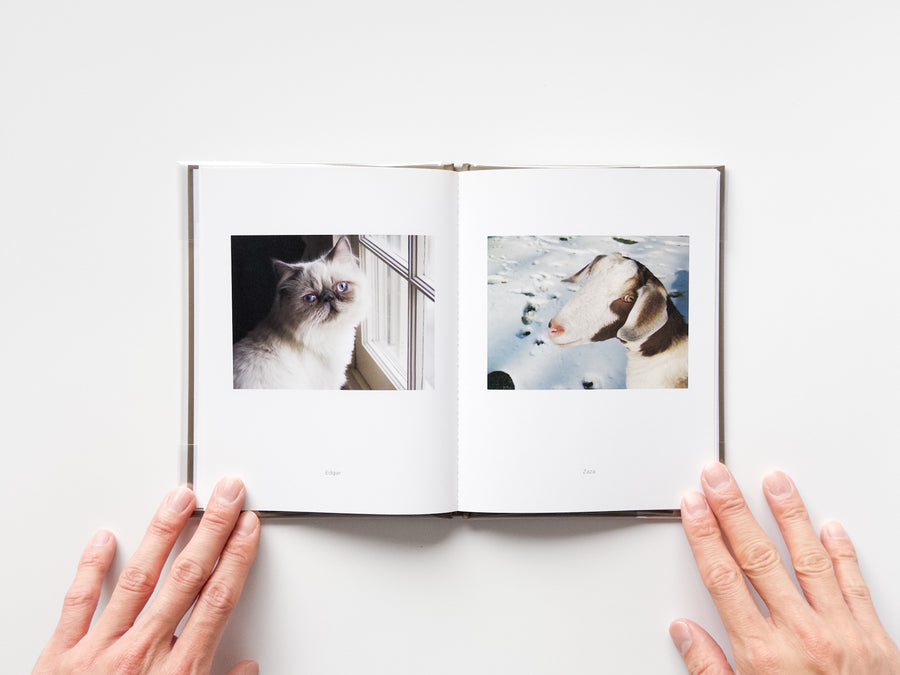 One Picture Book #73: Pet Pictures by Stephen Shore