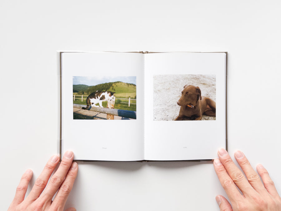 One Picture Book #73: Pet Pictures by Stephen Shore