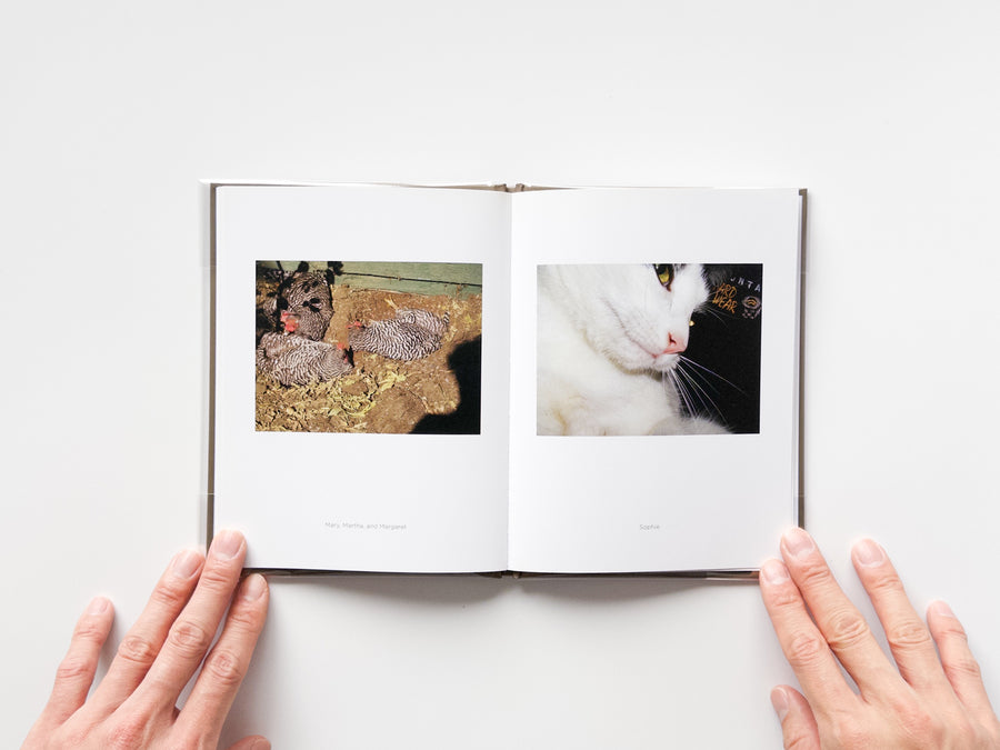 One Picture Book #73: Pet Pictures by Stephen Shore