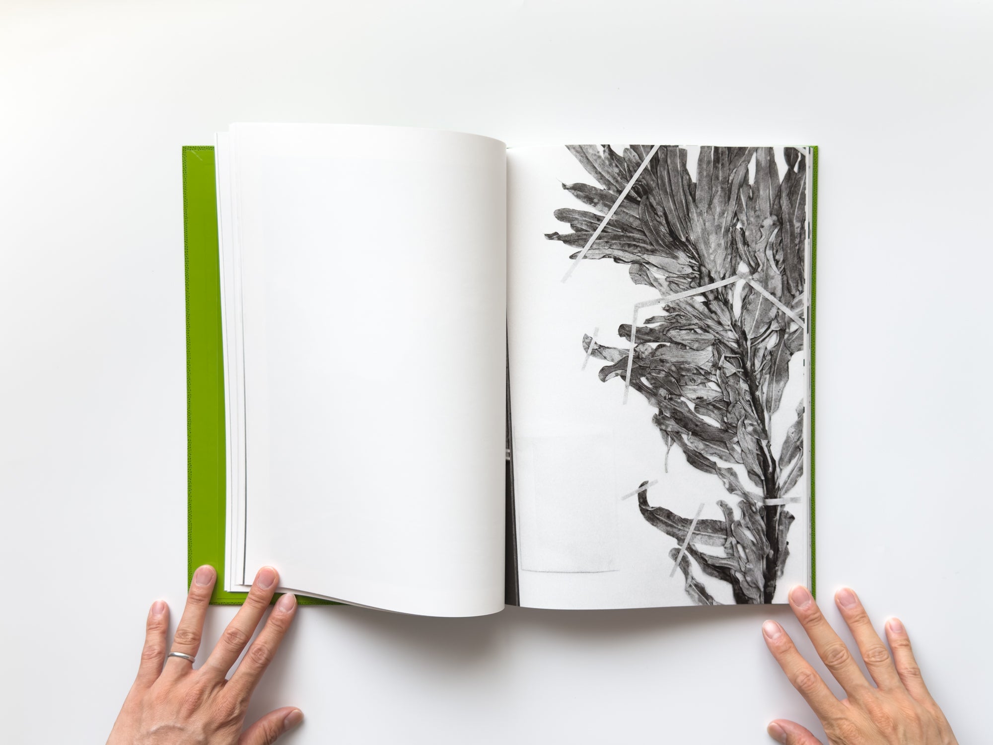 OKINAWA!! by Victoire Thierrée – IACK